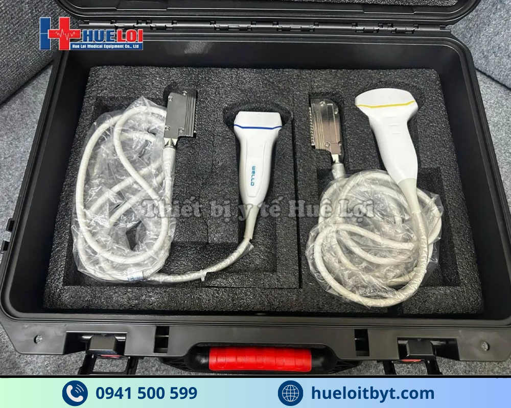 MÁY SIÊU ÂM XÁCH TAY CẢM ỨNG 2 ĐẦU DÒ P10