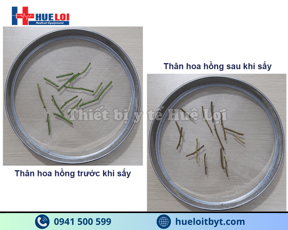 TỦ SẤY DƯỢC LIỆU 10 TẦNG