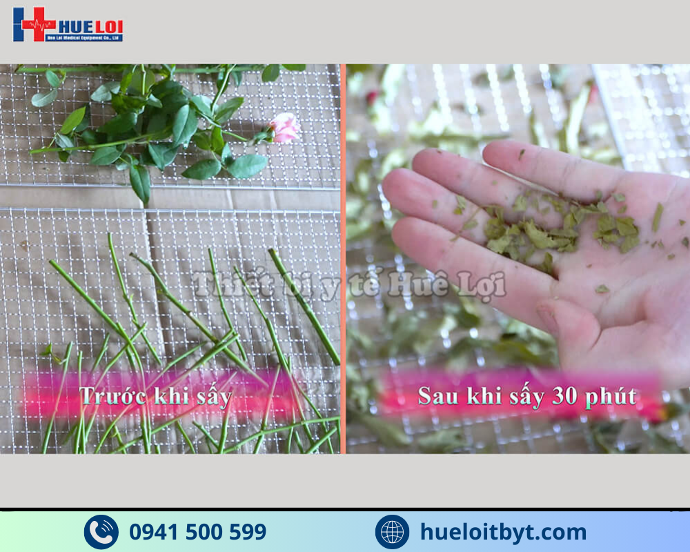 TỦ SẤY THUỐC ĐÔNG Y CAO CẤP 30 TẦNG