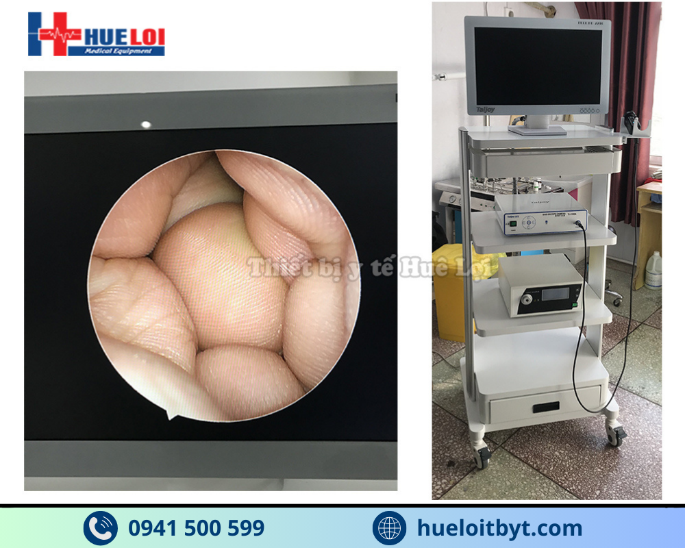 MÁY NỘI SOI TAI MŨI HỌNG SD TJ-168A GIÁ RẺ