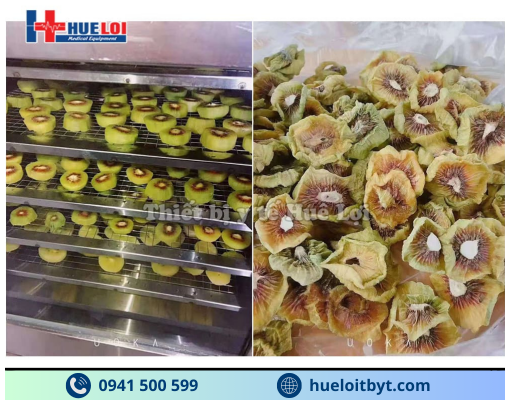 MÁY SẤY DƯỢC LIỆU ĐA NĂNG 22 TẦNG